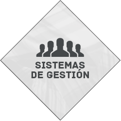 sistemas de gestión