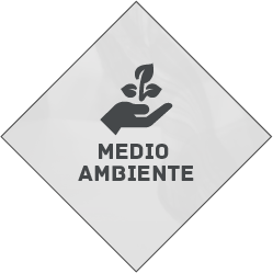 medio ambiente